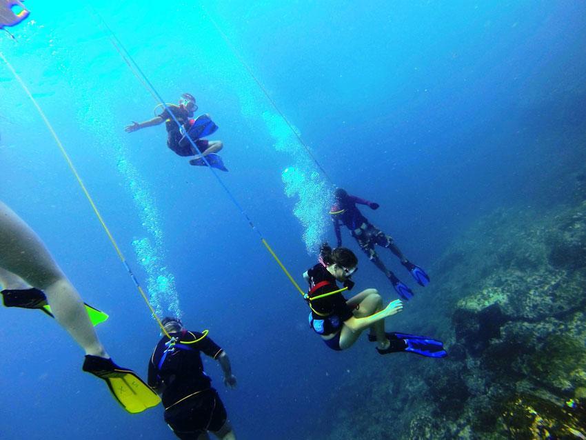 Things To Do Half Day Tours