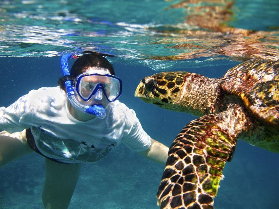 Things To Do Snorkeling